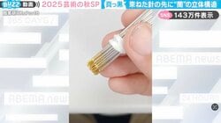 「黒は物理的に作るもの」ピカピカの束ねた針が“真っ黒”に変わる様子に「考えたことなかった」「理論はわかるけどやっぱり不思議」と反響
