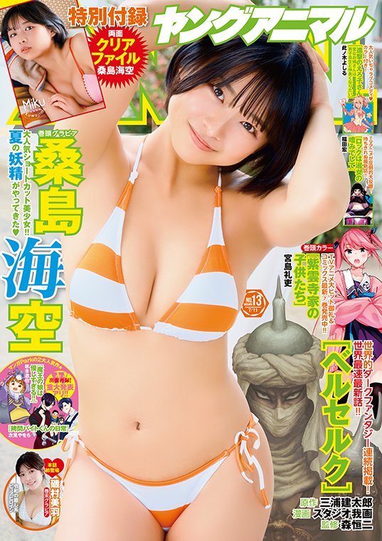 『ヤングアニマル』25年13号