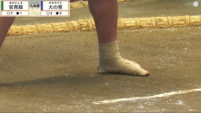「めっちゃ腫れてる」横綱・大の里“撃破”も安青錦の足が…カメラが捉えた左足の腫れに心配の声相次ぐ 2枚目
