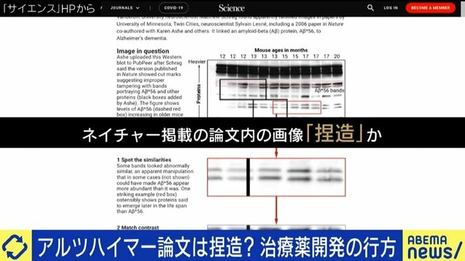 16年前の論文に捏造疑惑…世界の研究者の長年の努力は無駄に?今後の研究や創薬への影響は?『アルツハイマー征服』著者に聞く 1枚目