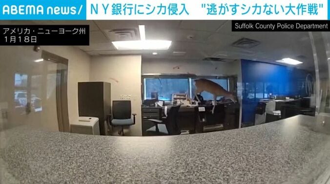 アメリカ・ニューヨーク