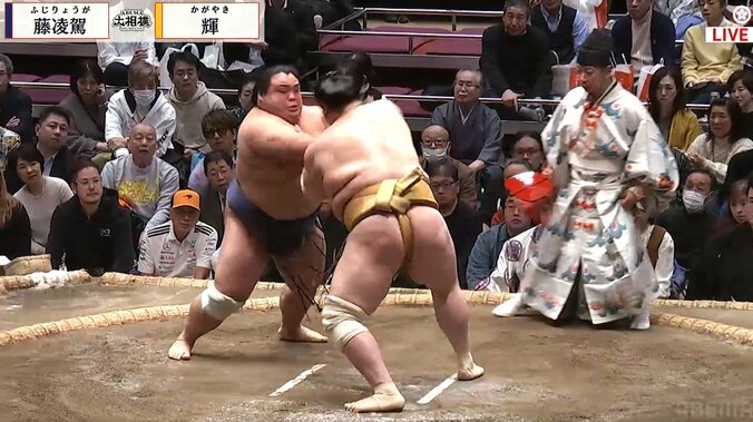 【写真・画像】　1枚目