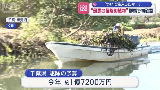 今年も約1億7000万円かけ作業を継続