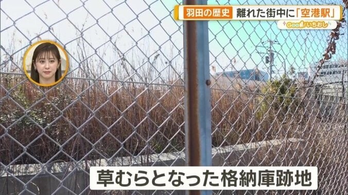 現在は、草むらに