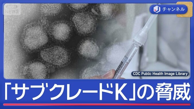 インフル猛威　新変異株「サブクレードK」の脅威 1枚目