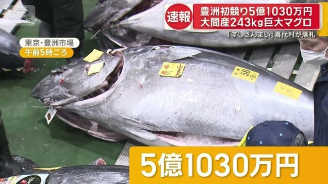 青森県大間産の本マグロ