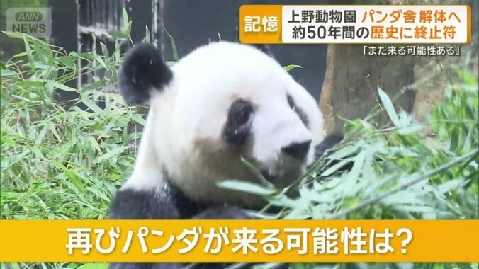 再びパンダが来る可能性は？