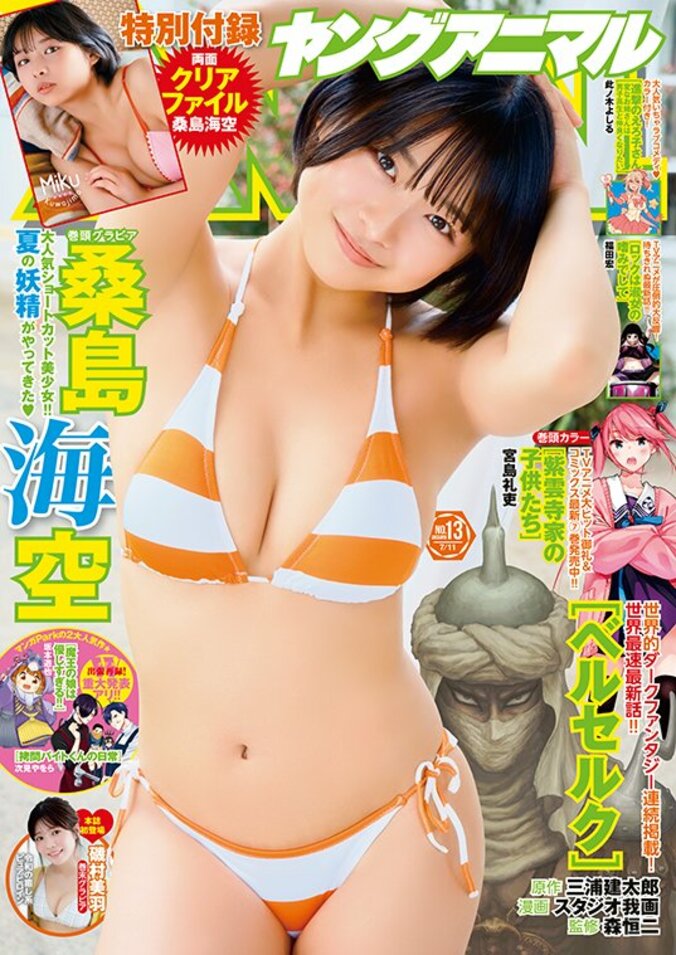 『ヤングアニマル』25年13号