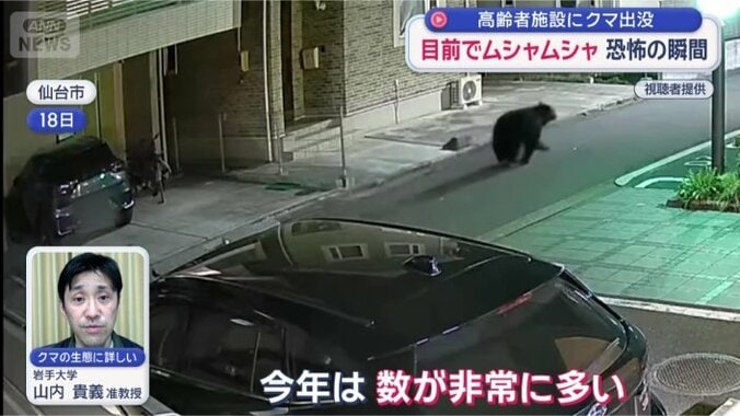 「かなり鈍感になっている個体が増えている」