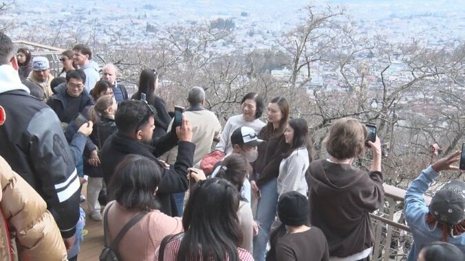 桜まつり中止でも観光客殺到 迷惑行為に住民疲弊「注意しても無駄」 山梨・富士吉田市 1枚目