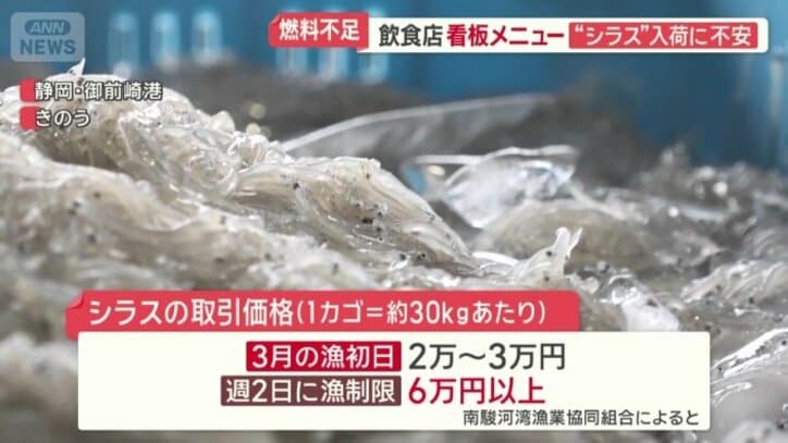 シラスの取引価格