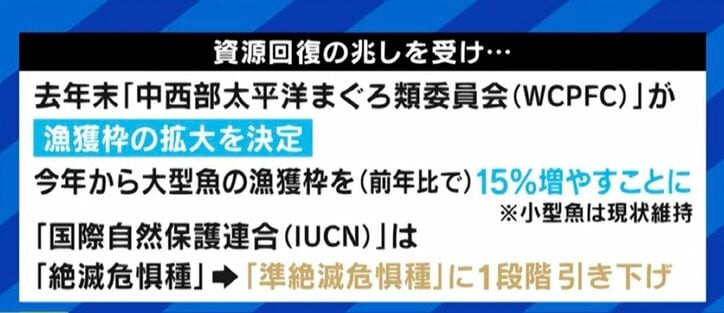 せっかく獲れたクロマグロを海に戻さなければならない現実…専門家「漁獲量の安定のため、今はまだ我慢しなければならない」