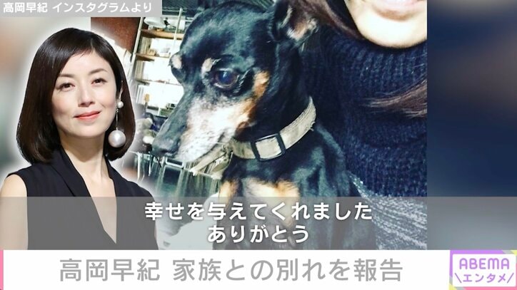 高岡早紀、愛犬との別れを報告「最後の最後まで優しいおばあちゃんでした」