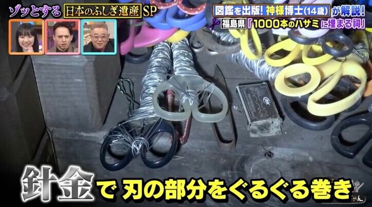 【写真・画像】神社の階段に並べられた大量のバラバラの手足…不気味すぎる光景に芦田愛菜ら驚愕 2枚目