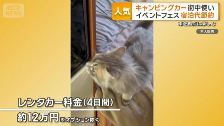 ネコとともに静岡旅行