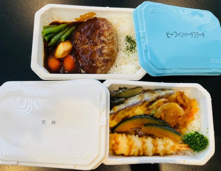  ココリコ・遠藤の妻、息子達にも好評だった『ANA』の機内食「とっても便利だし美味しい」 