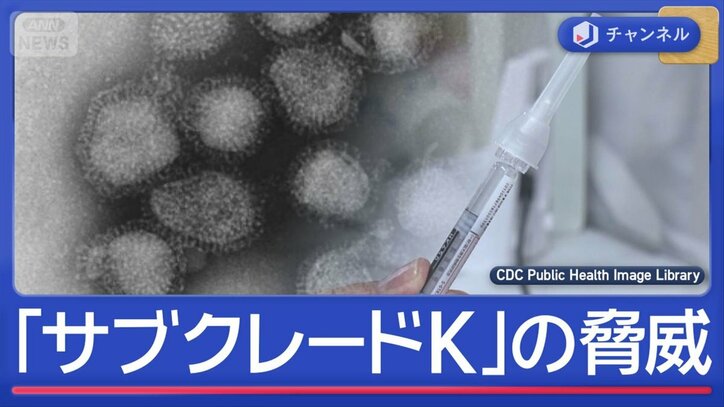 インフル猛威　新変異株「サブクレードK」の脅威
