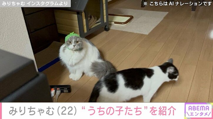 みりちゃむのInstagramより