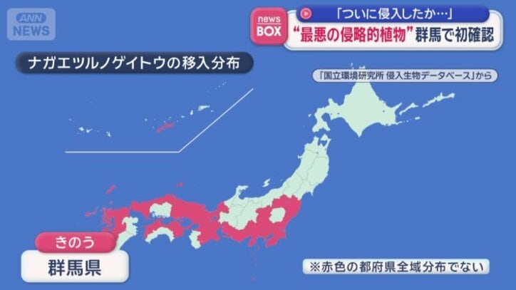 ナガエツルノゲイトウの移入分布