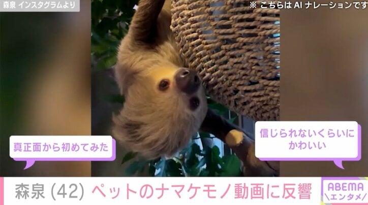 【写真・画像】様々なペットとの暮らしが話題・森泉(42) 自宅でナマケモノにエサをあげる動画に反響「真正面から初めてみた」　2枚目