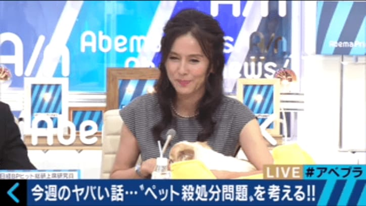 杉本彩、命の尊さを問う ペット殺処分問題に「抜本的な改革が必要」