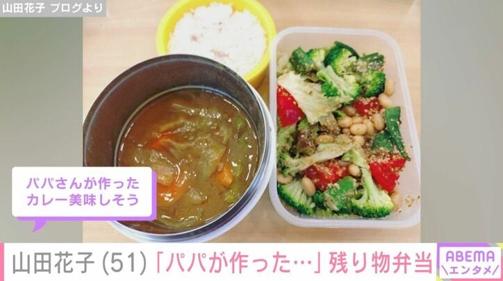 山田花子の夫が作ったカレー弁当