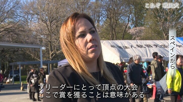 今や発祥の地に暮らすのはわずか30頭…プーチン大統領に贈られた「ゆめ」を育て上げた秋田犬ブリーダーの奮闘
