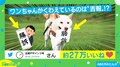 「かわいいは正義」吉報の“2文字”をくわえた犬がTwitterで話題 投稿主「イメージが重なった」