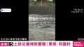 まるで“川”と化した道路 車が通るたびに波打つ水 千葉・館山市