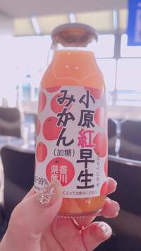 平野ノラ『お買い物』