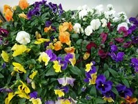 高橋英樹『ご報告です』