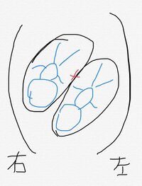 蒼井そら『妊婦検診②』