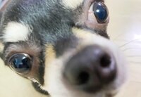 金子恵美『優しい気持ち』