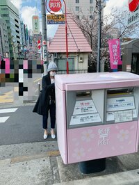 小泉貴之『涙が出るほど嬉しかった枝垂れ桜』