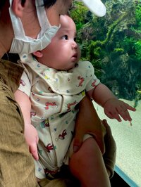 小泉貴之『連れて行って良かった水族館』