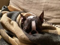 中村江里子『これは戦争だ！！』