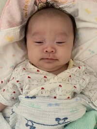 キンタロー。旦那『“ちびキン”ニュースのお時間。』