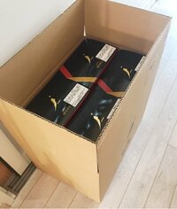 北斗晶『皆んなでパーティー』