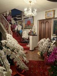 デヴィ夫人『My collection♪』