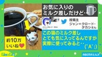 【映像】二日酔いかニャ? 猫のミルク差しが…