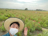 渡辺裕太『麦わらとの出会い』