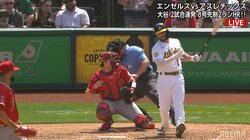 球審を襲った強烈な“ワンツーパンチ”でKO 途中交代で審判3人制のスクランブル状態「倒れ方やばい」「お大事に」との声も