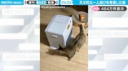 「これが永久機関か…」“天才的なひとり遊び”を考案した猫が、SNSで話題沸騰！「天才とホニャララは紙一重これはどっちだw」