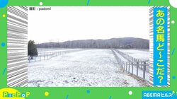 見つけられる？ 雪景色の中に紛れる名馬…完全に同化した“奇跡の一枚”に「これは難しかった」「さすが美馬」と反響