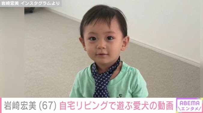 岩崎宏美の孫
