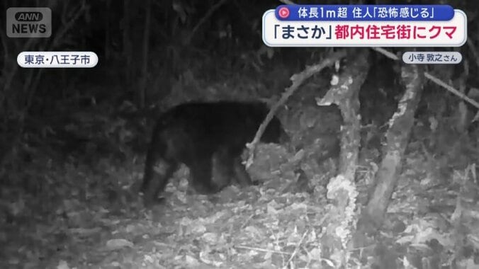 東京・八王子市の住宅地近くで撮影された映像