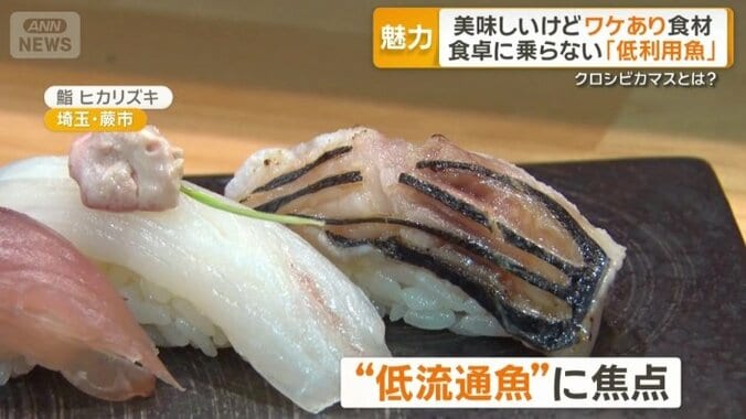 “低流通魚”に焦点
