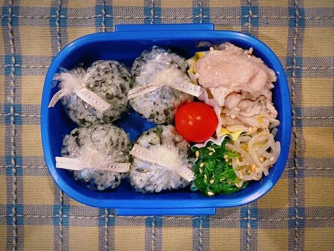  保田圭、地味な印象になった息子の弁当「簡単な物が助かります」  1枚目