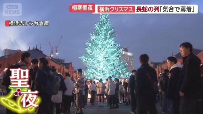 巨大なクリスマスツリー
