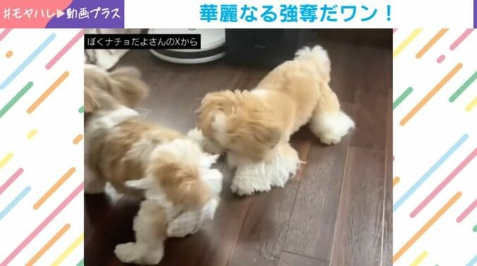 ナチョ氏と奈々ちゃん